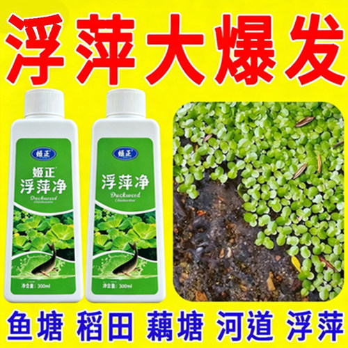 鱼池净水剂鱼塘净水除藻去苔剂青苔清除剂鱼缸除浮萍清池塘变清