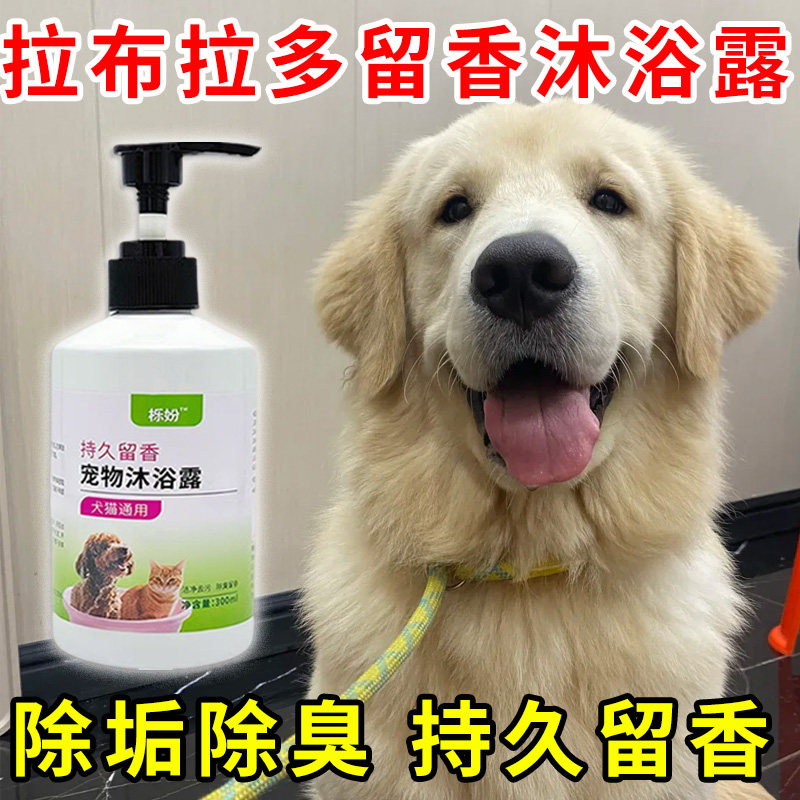 拉布拉多专用沐浴露亮白去黄狗狗白毛犬沐浴液宠物狗清洁用品香波