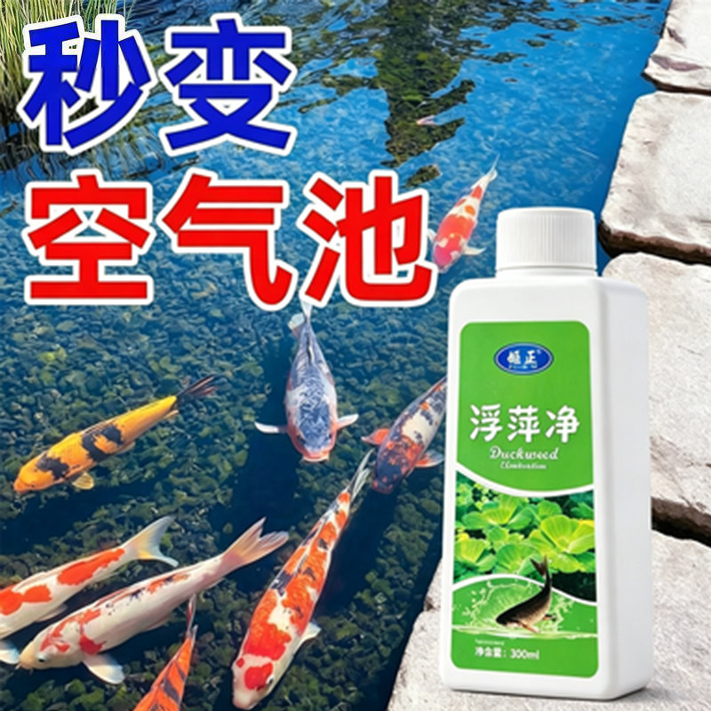 鱼池净水剂鱼塘净水除藻去苔剂青苔清除剂鱼缸除浮萍清池塘变清