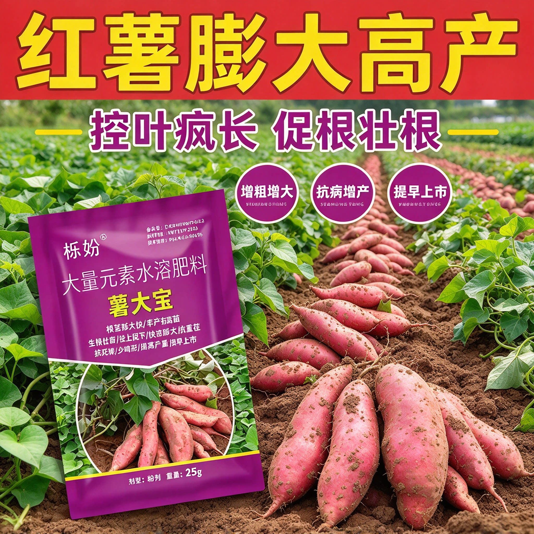正品红薯快膨大红薯压苗膨大素地瓜红苕增甜增产防裂补钙补镁肥料