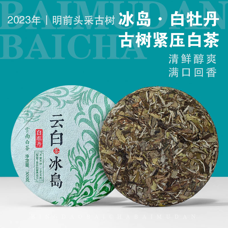 2023年头春冰岛白牡丹300克/饼
