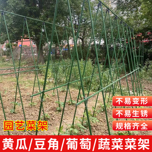 爬藤架種菜架子黃瓜庭院葡萄架包塑鋼管植物支架戶外攀爬架子