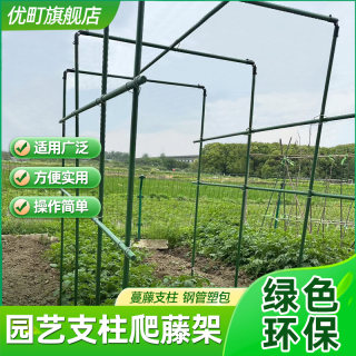 豆角架种菜黄瓜架子爬藤架庭院植物支架葡萄户外花架攀爬架子阳台