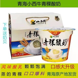 150克 正品 包邮 青海风味酸乳青稞酸奶 12杯添加谷物 小西牛