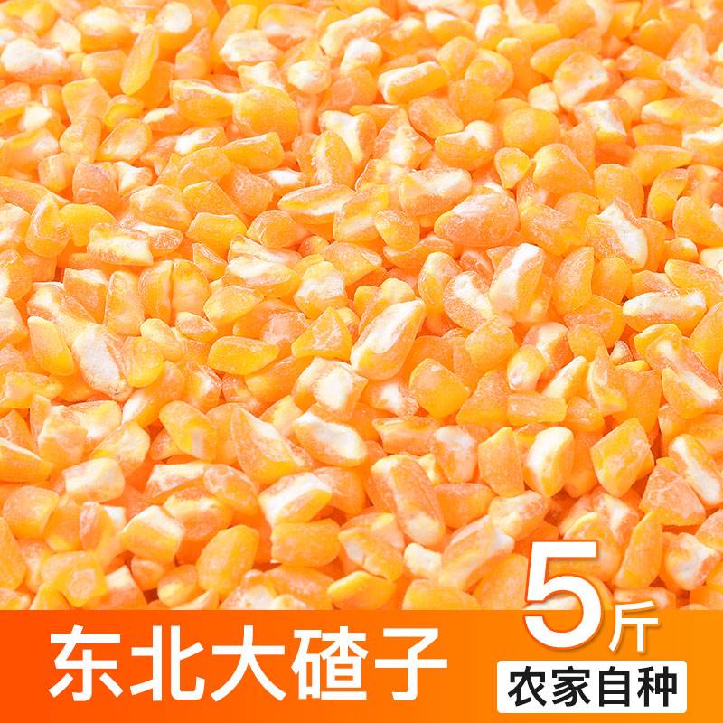 2022东北芸豆玉米碴新大