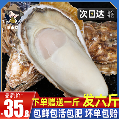 乳山生蚝鲜活特大10新鲜牡蛎5斤带箱海鲜水产海蛎子整箱商用顺丰