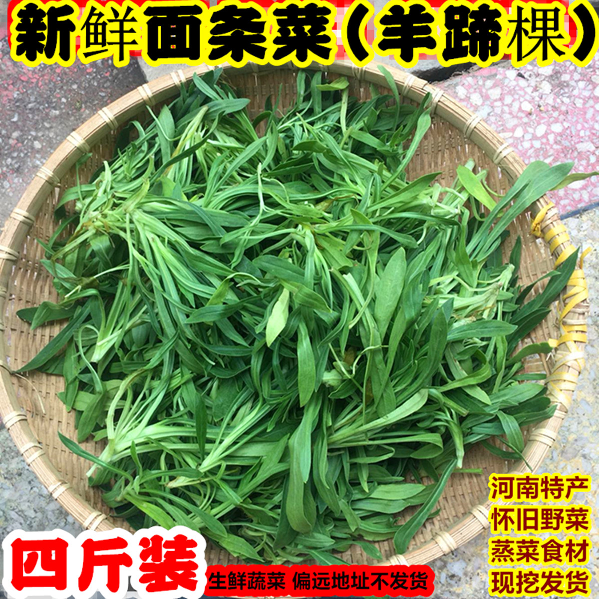 面条菜野菜新鲜柳叶菜野生面条菜现挖整箱河南面条棵蒸菜食材包邮