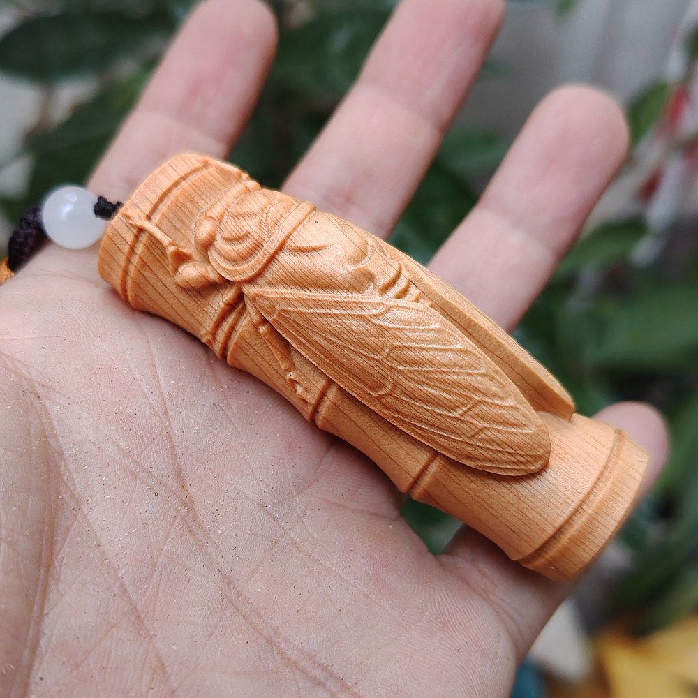 太行崖柏一鸣惊人竹节蝉