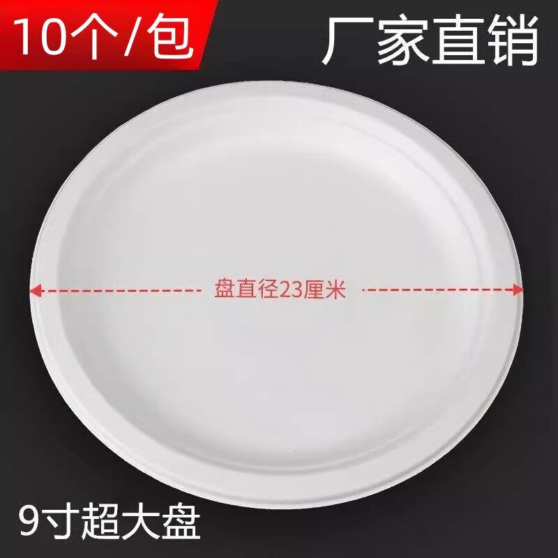 一次性白色加厚纸盘儿童手工绘画涂鸦专用盘聚会蛋糕盘9寸纸盘子