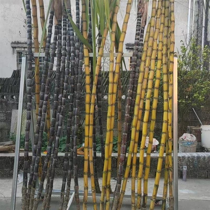 加厚钢材水果店专用可拆卸甘蔗展示双边立放架移动牢固结实摆摊