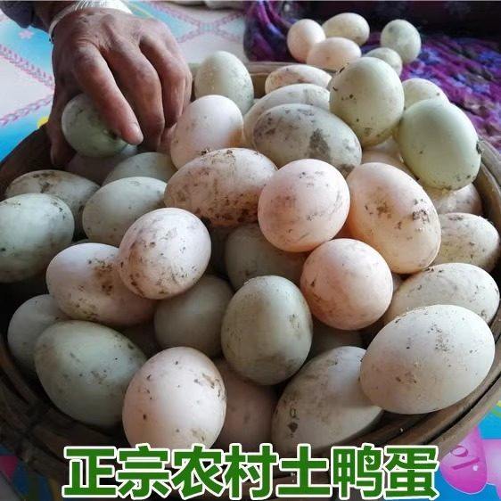 正宗农村自养土鸭蛋新鲜发货