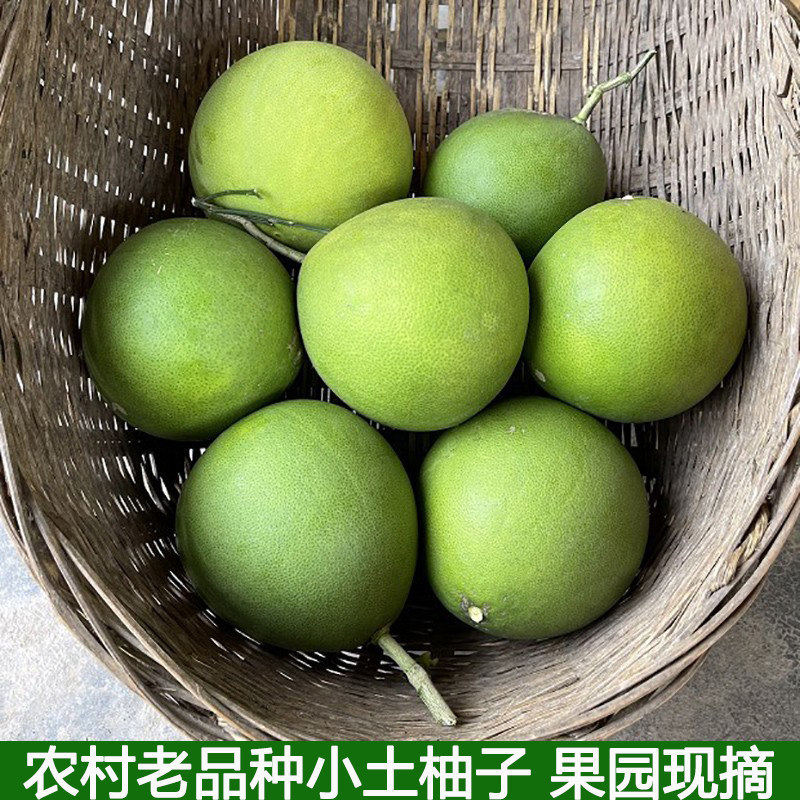 现摘新鲜小柚子柚子皮新车除异味新房装修去味神器三红柚皮除甲醛