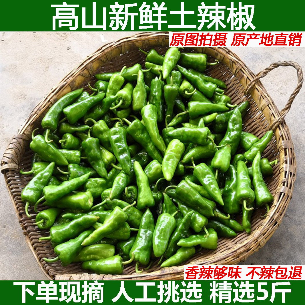 辣青辣椒枫树椒虎皮椒特辣新鲜余干椒超辣薄皮椒爆辣现摘现发包邮