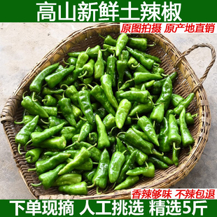 辣青辣椒枫树椒虎皮椒特辣新鲜余干椒超辣薄皮椒爆辣现摘现发包邮