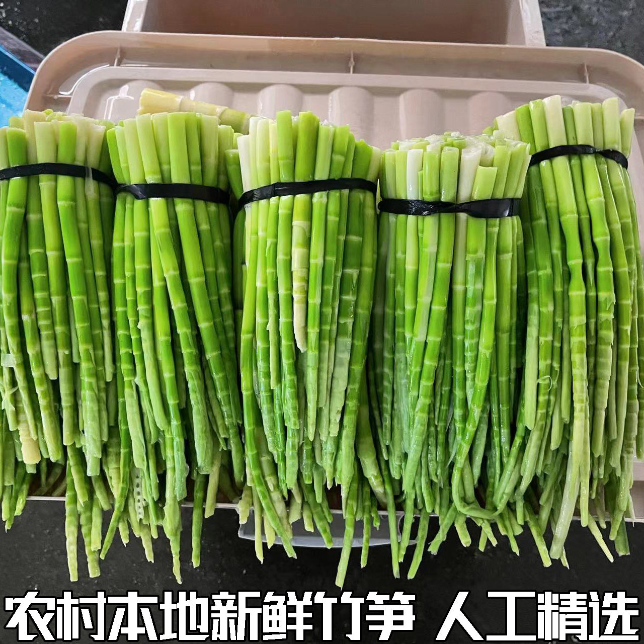 湖北农家现挖生鲜冬笋东笋子楠竹笋蔬菜新鲜春笋野生新鲜竹笋