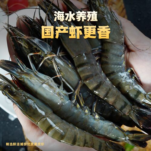 良德源国产黑虎虾3040斑节虾对虾火锅食材