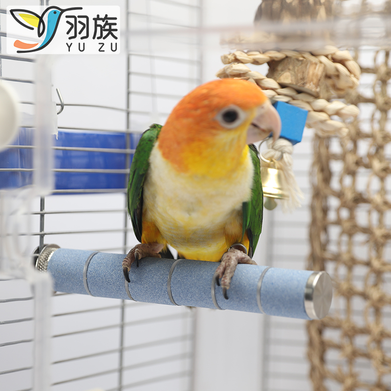 birdstory不锈钢磨爪耐啃易水洗