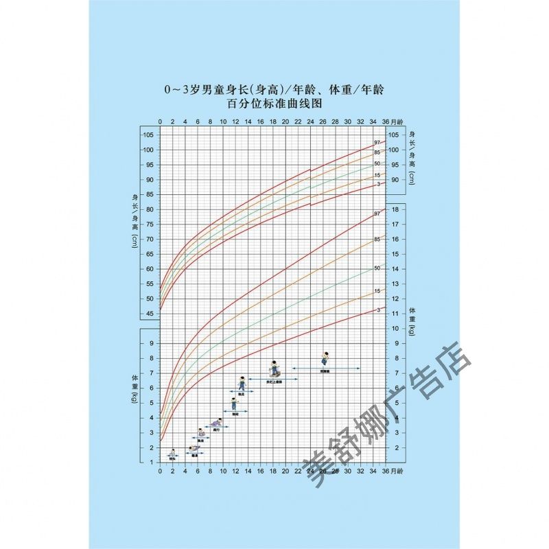 0-3岁男童身高体重百分位标准曲线海报体重表参考标装饰墙贴画
