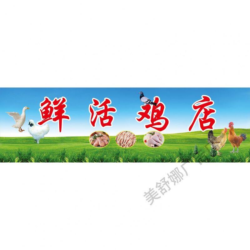 鸡鸭现杀广告海报贴纸出售各种鸡鸭鹅鸽子等家禽走地鸡广告自粘