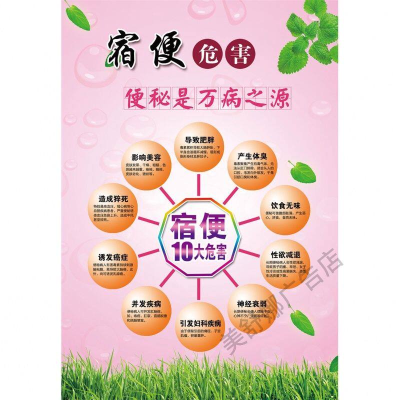 膳食营养健康便秘的十大危害宿便结肠排毒排湿海报养生广告贴纸