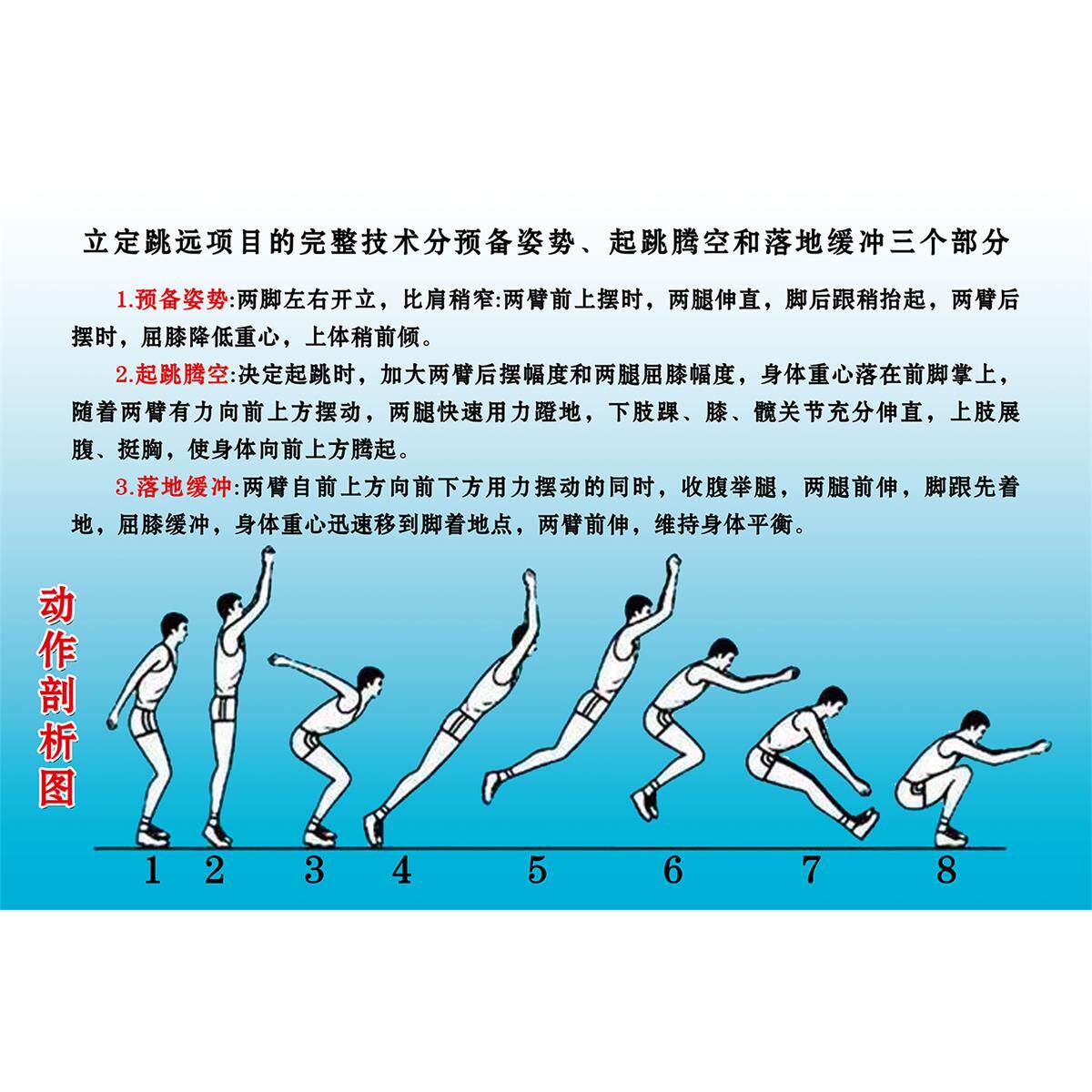 立定跳远动作剖析图海报展板体育技能提高运动挂图kt板
