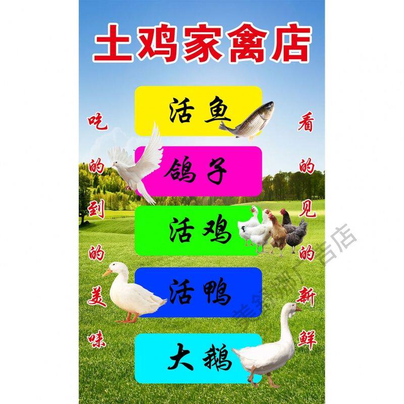 活鸡现杀广告海报定制出售土鸡蛋帮忙杀家禽鸡鸭鹅鸽子鱼海报贴纸
