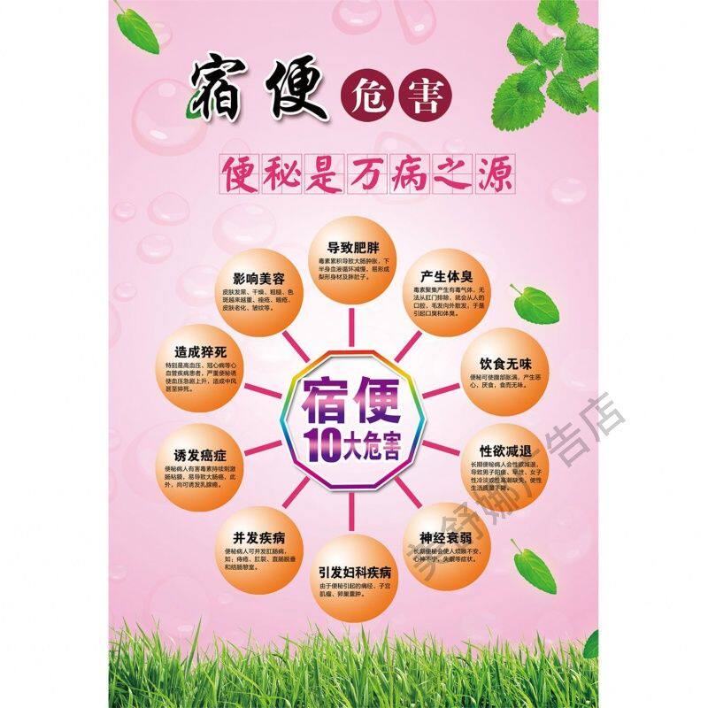 膳食营养健康便秘的十大危害宿便结肠排毒排湿海报养生广告贴纸