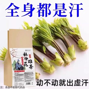 杜仲花雄茶出汗多一动就出汗爱出虚汗成人盗汗手心脚心发热