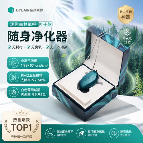 随身负离子防敏除甲醛除烟净化器
