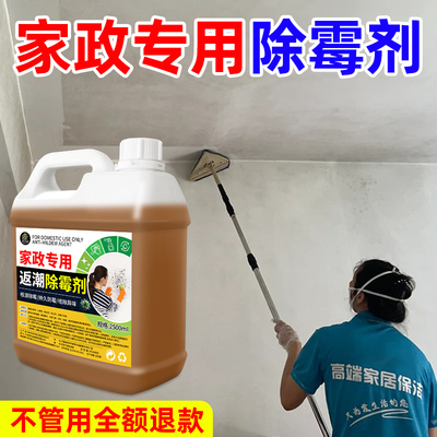 家用墙壁除霉剂白墙去霉斑清除剂