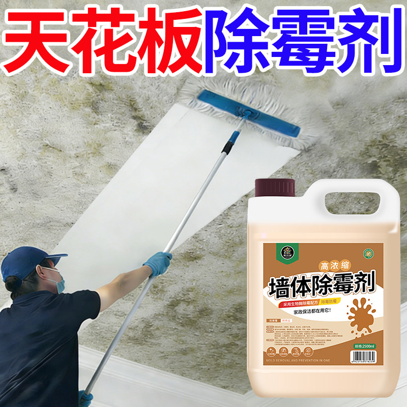 墙体除霉剂去霉斑霉菌白墙面墙壁去霉味神器天花板除霉喷雾家用叁