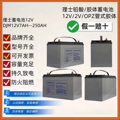 理士铅酸蓄电池UP电源EPS电厂