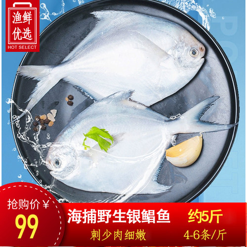 银鲳鱼新鲜冷冻冰鲜深海鱼鲜活大