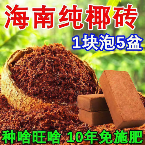 启旺育苗/栽培基质椰砖营养土
