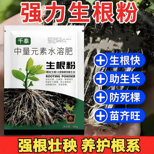 千泰育苗/栽培基质生根粉苗长