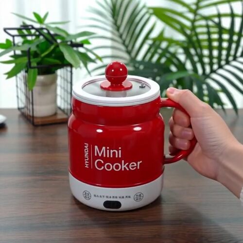 电炖杯多功能养生杯家用煲汤热奶