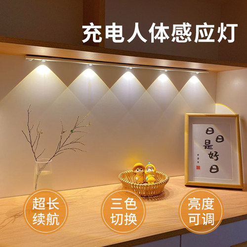 山丘人体感应灯超长续航充插两用