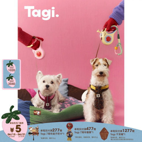 Tagi机灵格纹宠物牵引背带