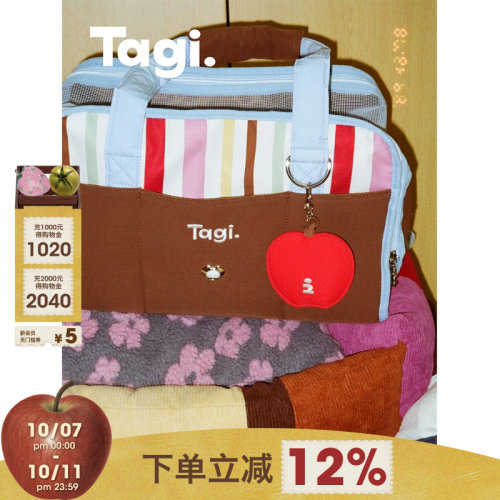 Tagi.外出野餐包手提斜挎包