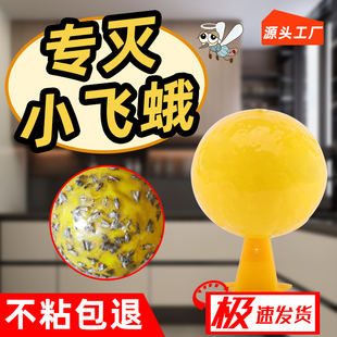 飞蛾陷阱诱捕器米蛾蚋蠓衣蛾子引诱球杀虫剂厨房灭杀神器除小飞蛾