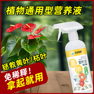 营养液植物通用型养花发财树绿植花卉绿萝肥料室内盆栽叶面肥喷施