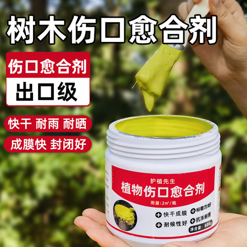 树木伤口愈合剂植物果树嫁接涂补盆景树皮树干树枝切口修复涂抹膏