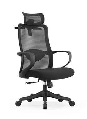 ZX189A办公椅扶手椅久坐护腰椅弹力椅电脑椅人体工学椅
