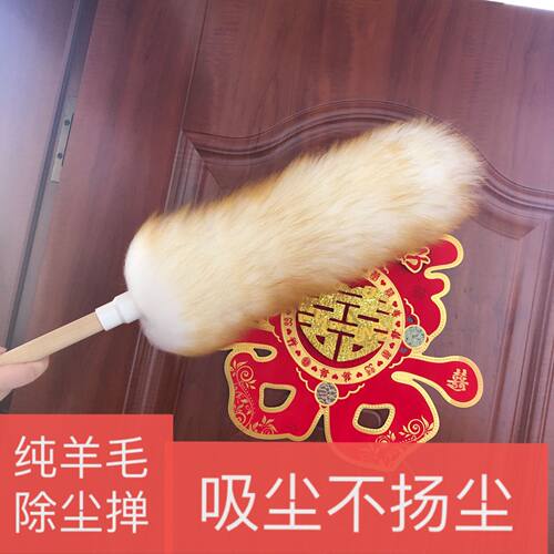 鸡毛掸子家用不掉打扫卫生工具车