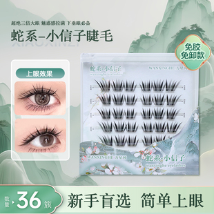 新品国风蛇系免胶小信子假睫毛浓密单簇手工制假睫毛新手女分段式