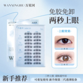 万星河胶水款 小苍兰大容量10排装 韩系黑棕色假睫毛超自然单簇新手