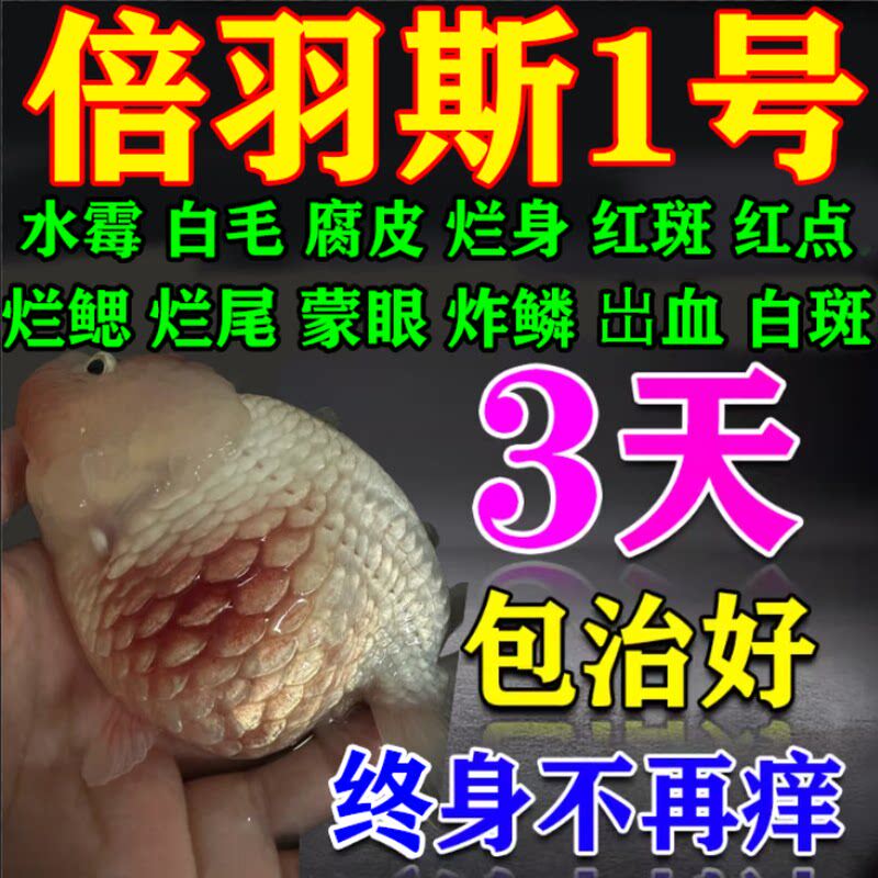 倍羽斯1号鱼乐康观赏鱼锦鲤鱼病药烂尾烂身白点净水霉病杀菌消毒