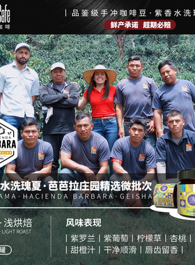 LPcafe紫香水洗瑰夏巴拿马精品咖啡豆干净顺滑浅烘焙75g