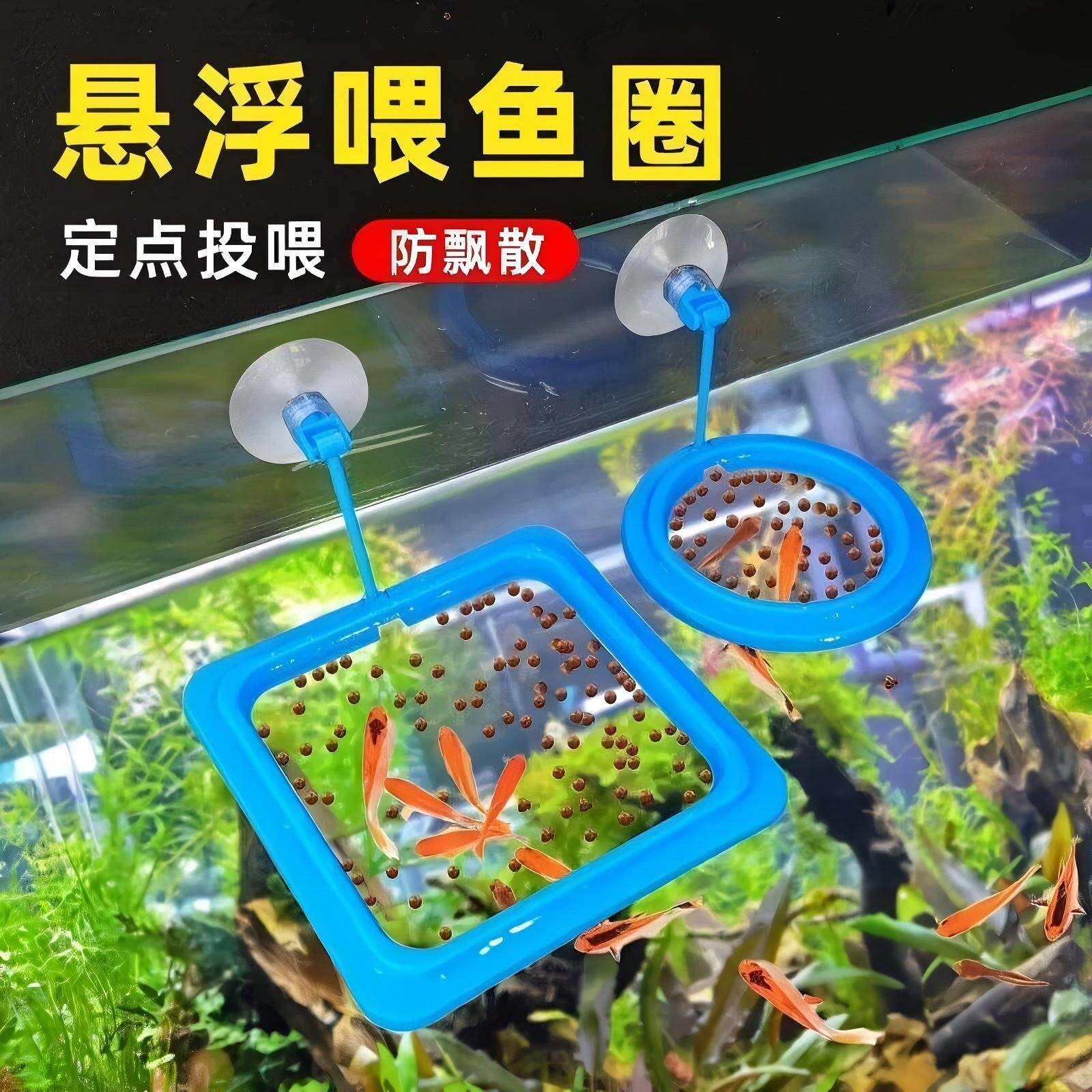 鱼缸喂食器防飘散漂浮喂食圈投食器投食圈鱼食投喂器喂鱼饲料固定