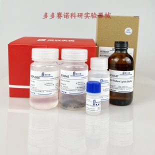 BGMG Fast RNAex Kit,RNA提取试剂盒,磁珠法获取总RNA含小片段RNA